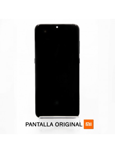 Recambio Pantalla Original Xiaomi Mi 9-ppal